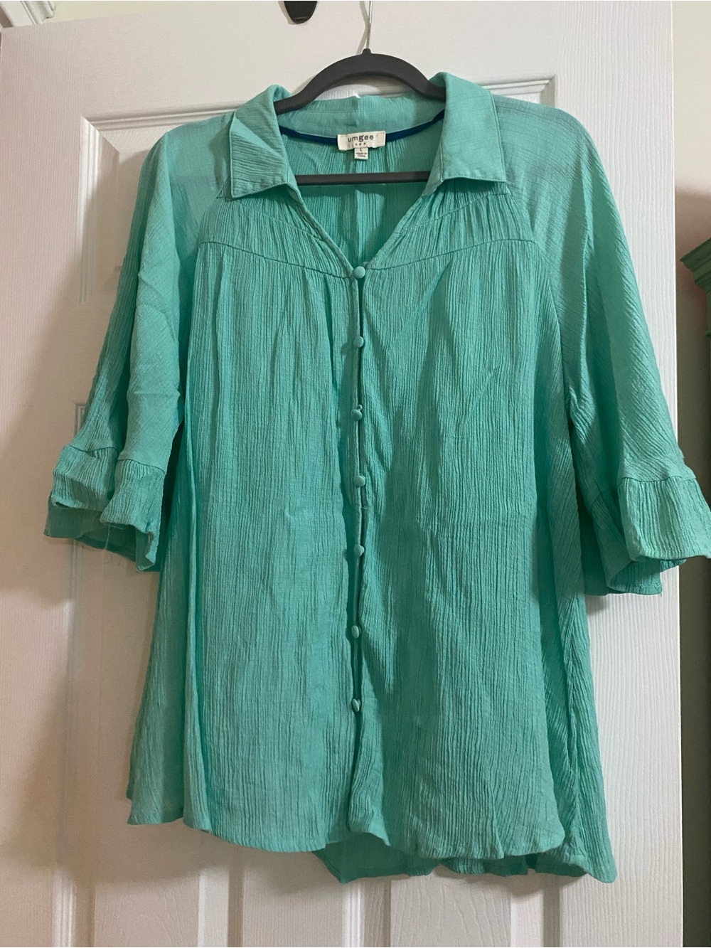 UmgeeTeal Button-Front Ruffle Sleeve Blouse